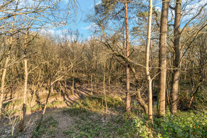 Photo 22- click for photo gallery